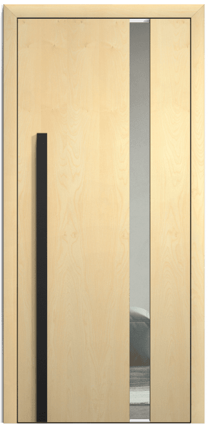 dveře sapeli appena skla ()