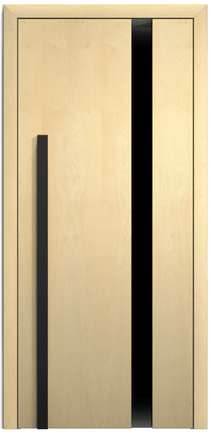 dveře sapeli appena skla ()